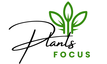 Plants Focus